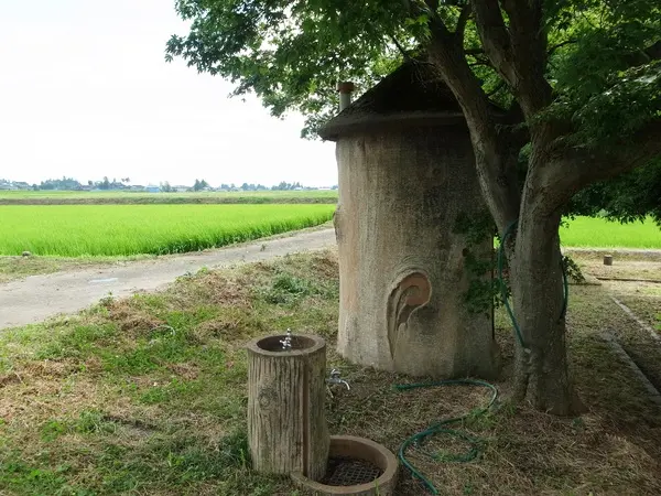 本江遺跡-3
