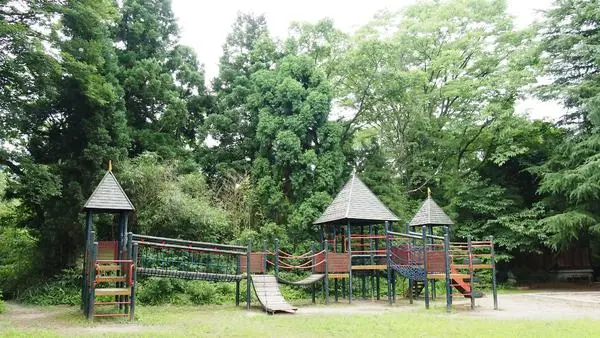 行田公園と花しょうぶ-2