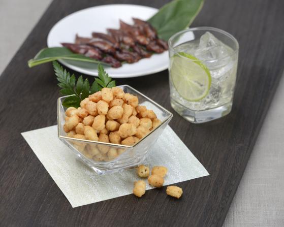 ほたるいか紀行-0