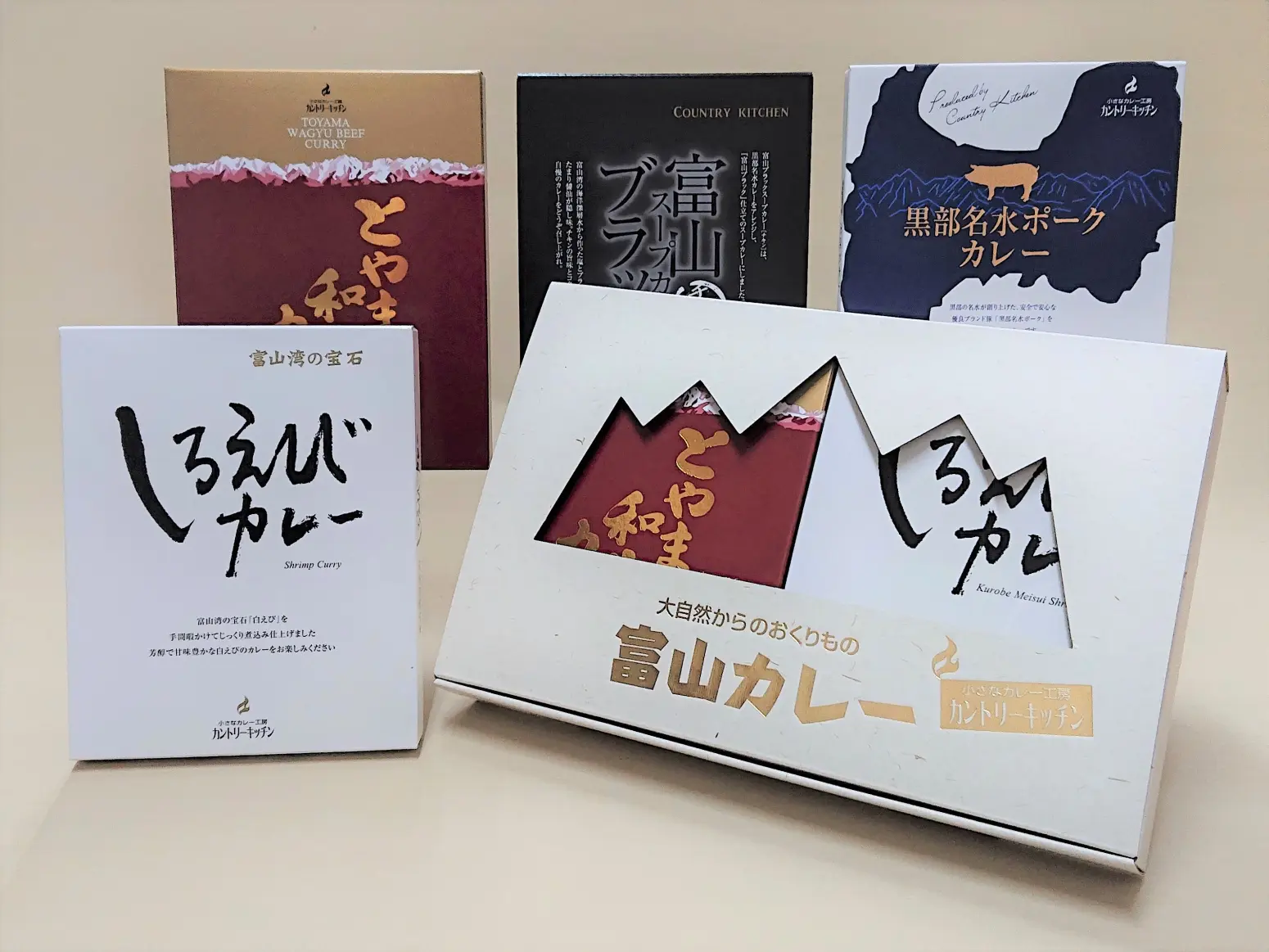 富山カレー４個入り