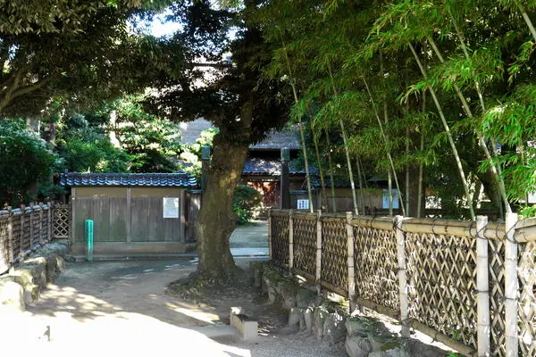 比奈の会-1