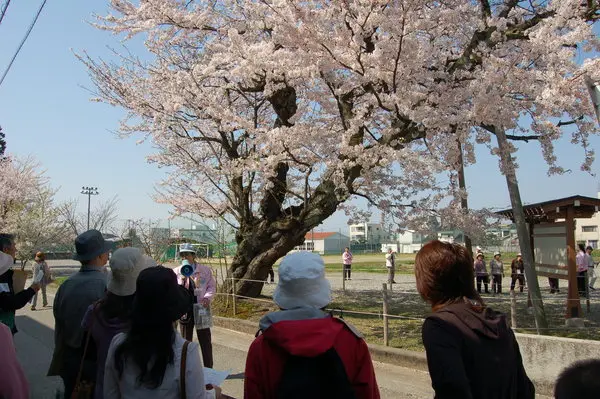 三日市まち歩きボランティアの会-1
