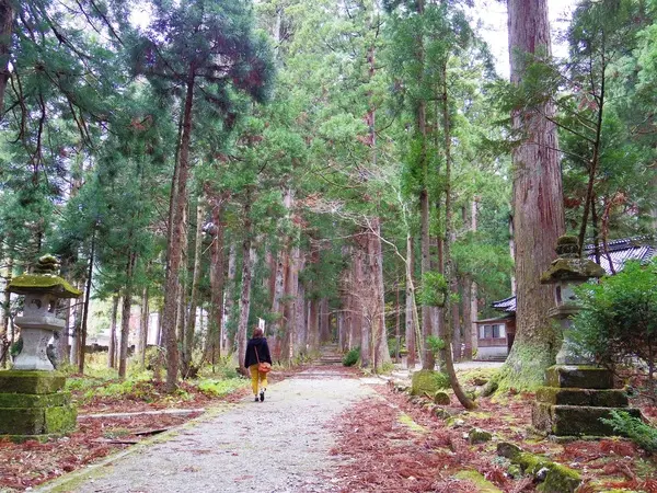 野中　美子-3