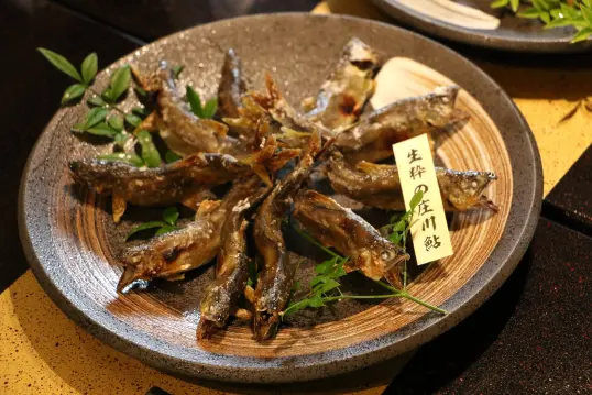 庄川温泉郷-9