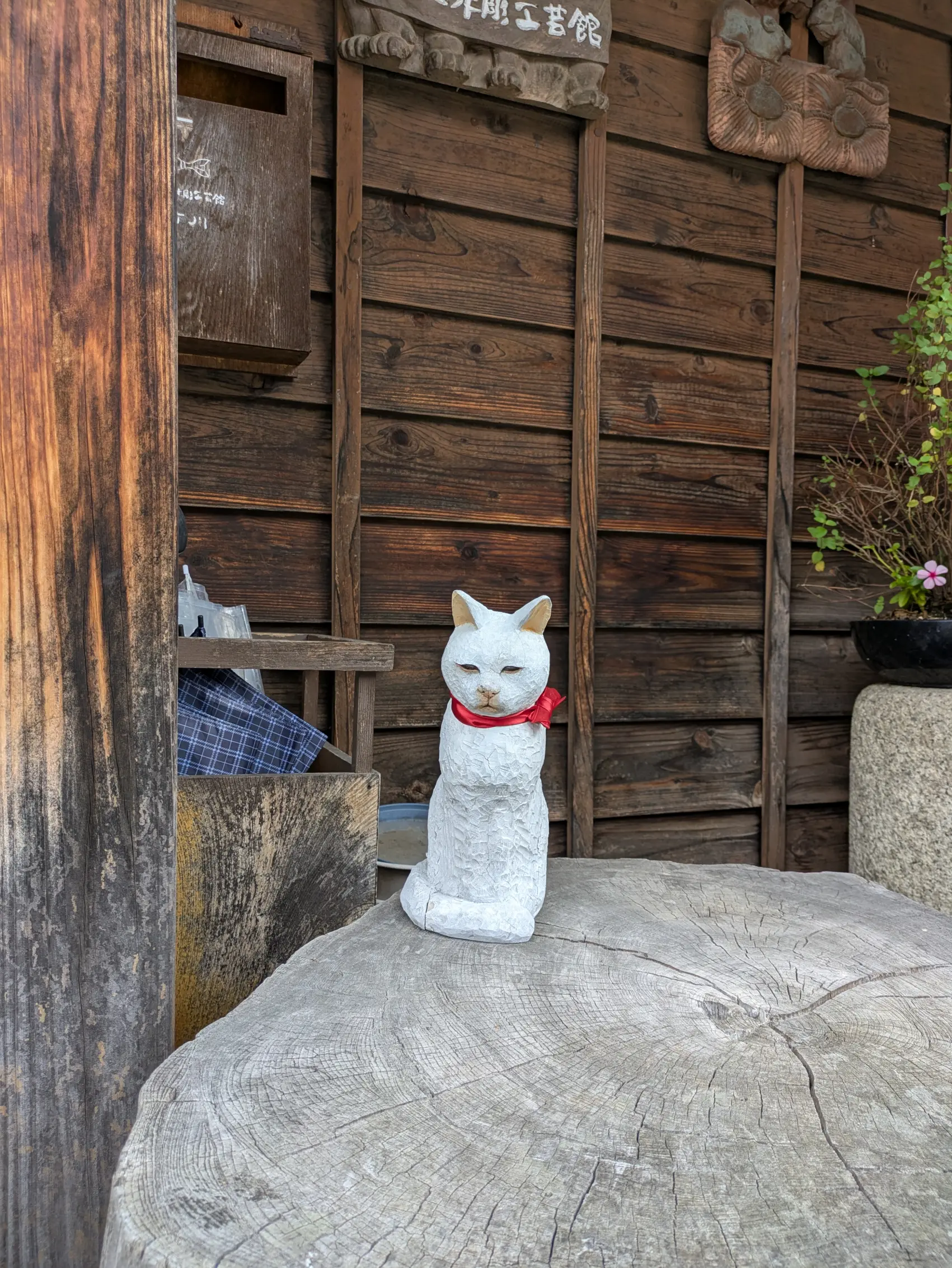 通りのいたるところに猫が隠れている