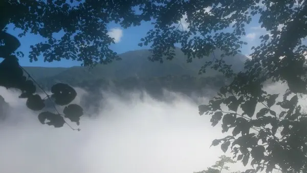 天野　雅美　-3
