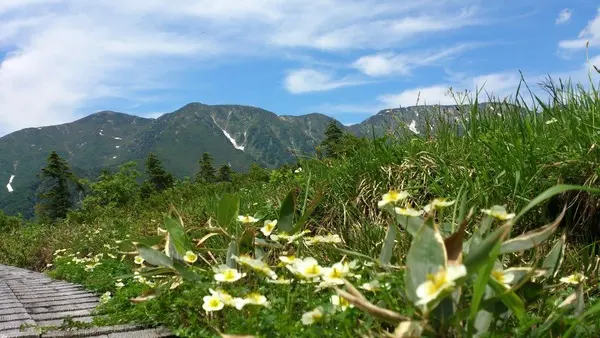 天野　雅美　-1