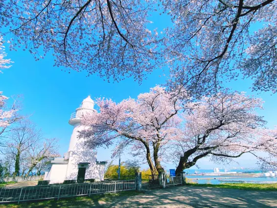 岩崎ノ鼻灯台-0