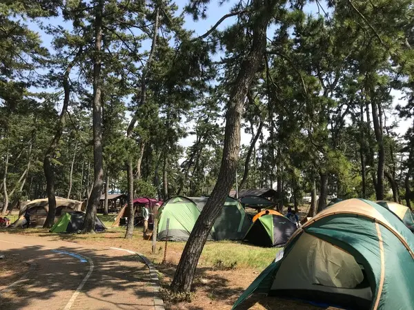 浜黒崎キャンプ場-1