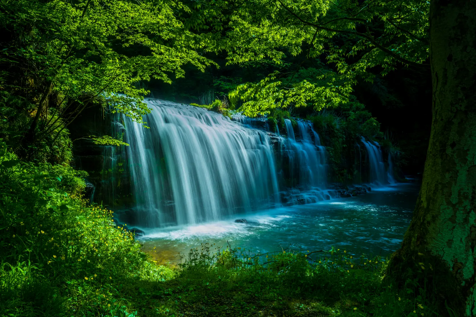 せせらぎと澄んだ空気に癒されて