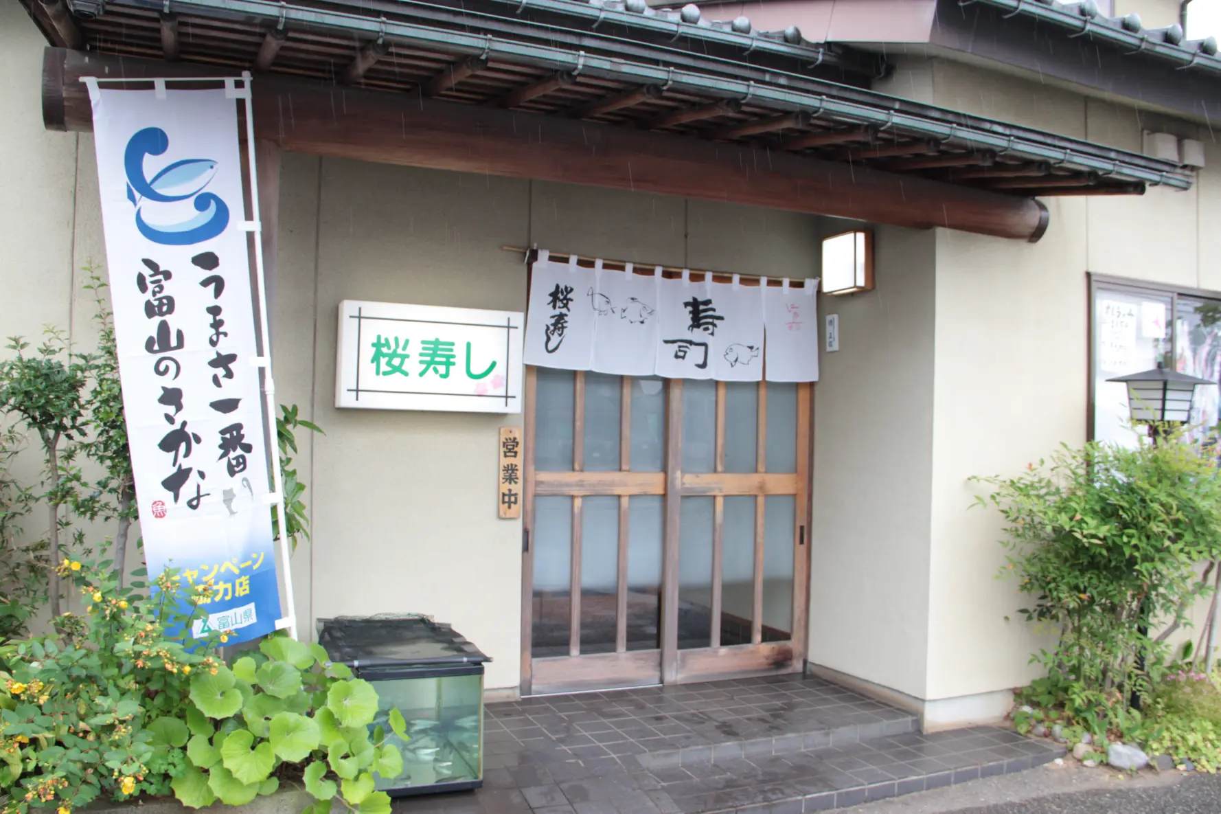 桜寿し-2