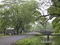墓ノ木自然公園-2