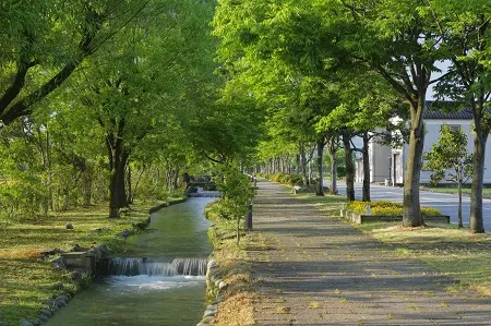 水の小径-1