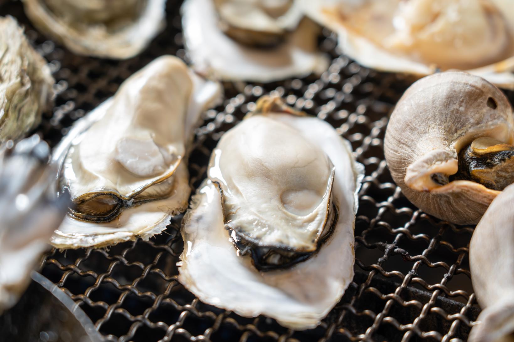 入善の海の恵みをご堪能下さい✨