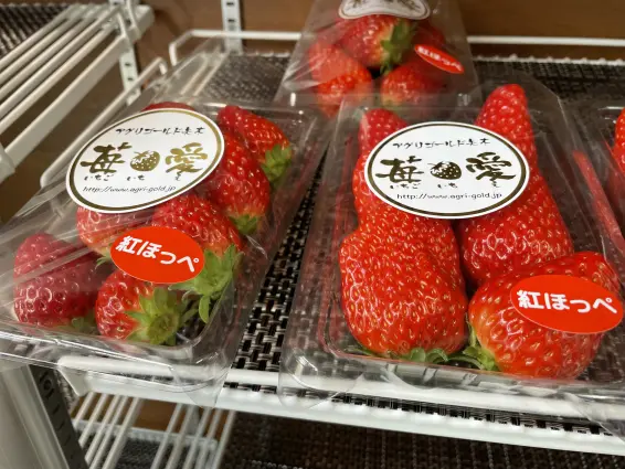 アグリゴールド矢木-5