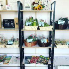 てらだファーム-1