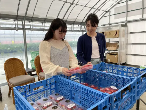 あるぺん村観光農園いちごハウス-6