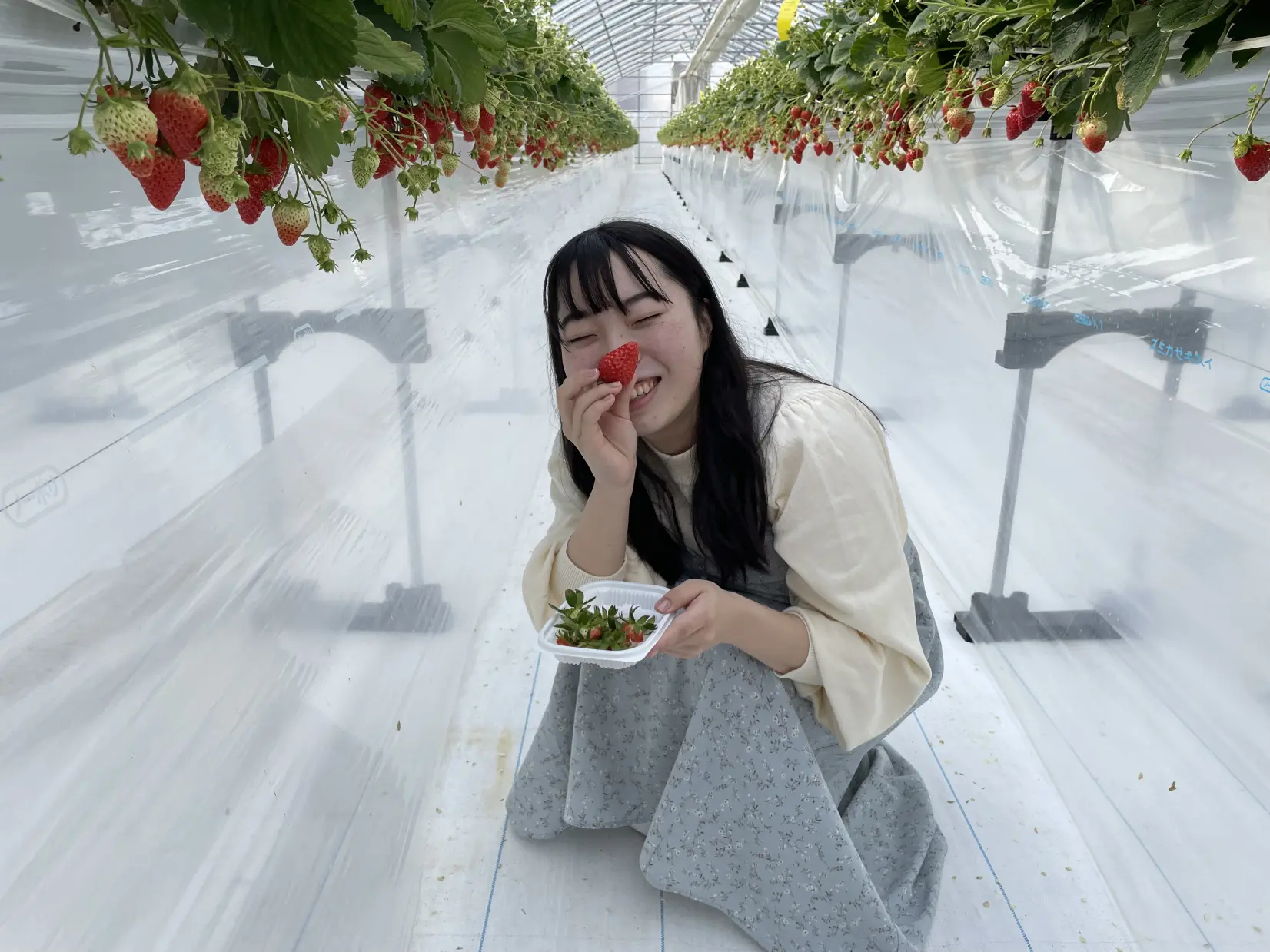 遊花園-3