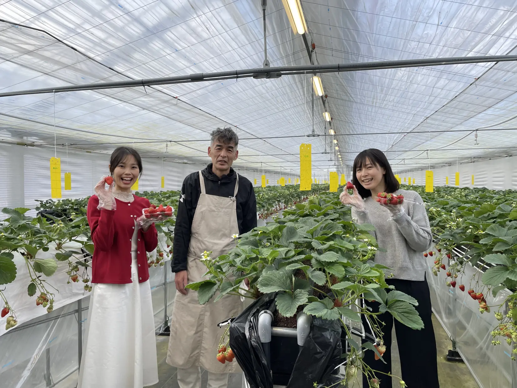 観光農園うめかのお庭-1