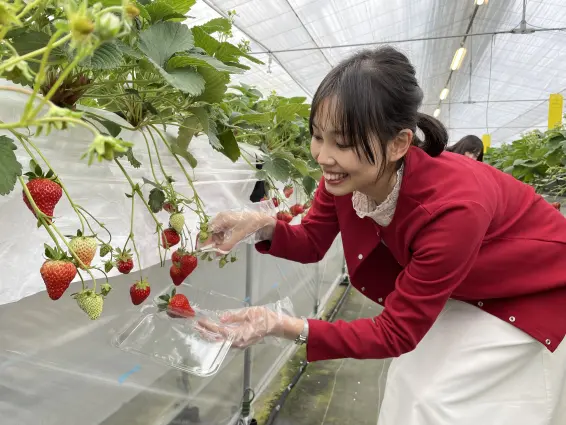 観光農園うめかのお庭-2
