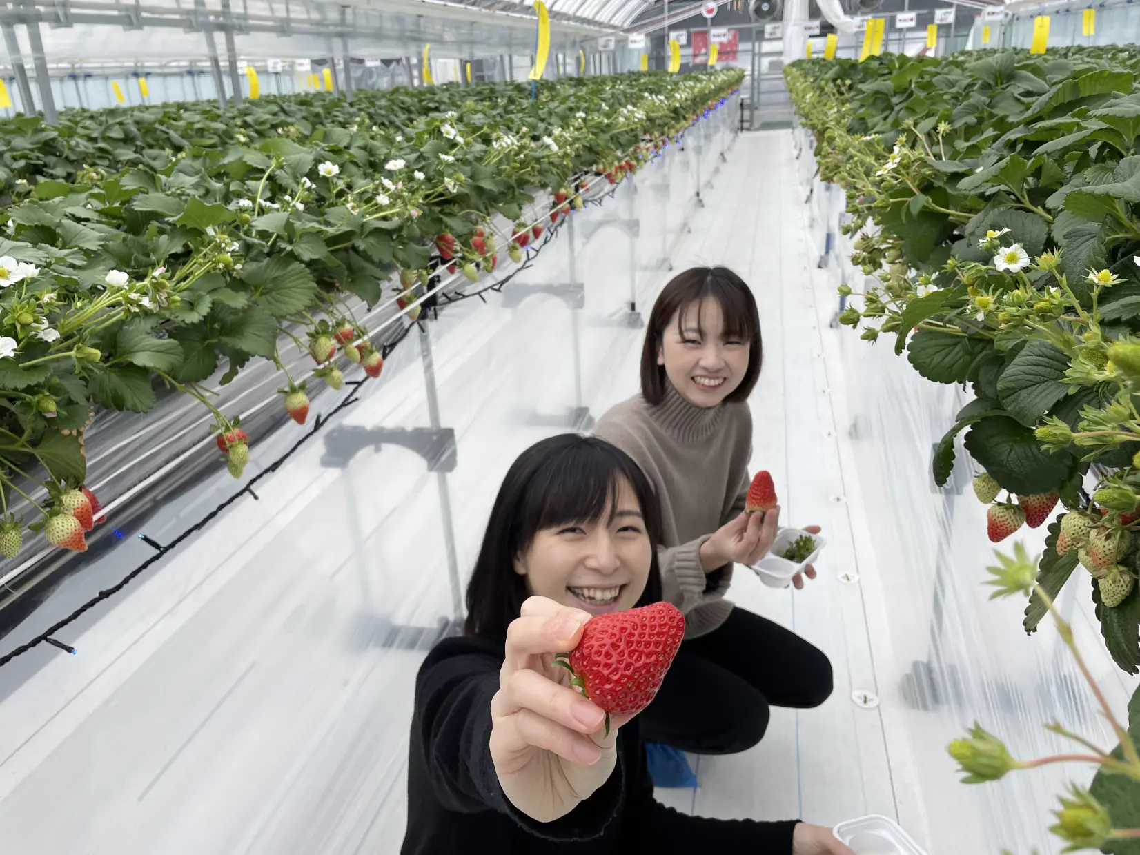 株式会社宇川農産-1