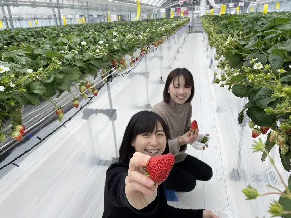 株式会社宇川農産-0