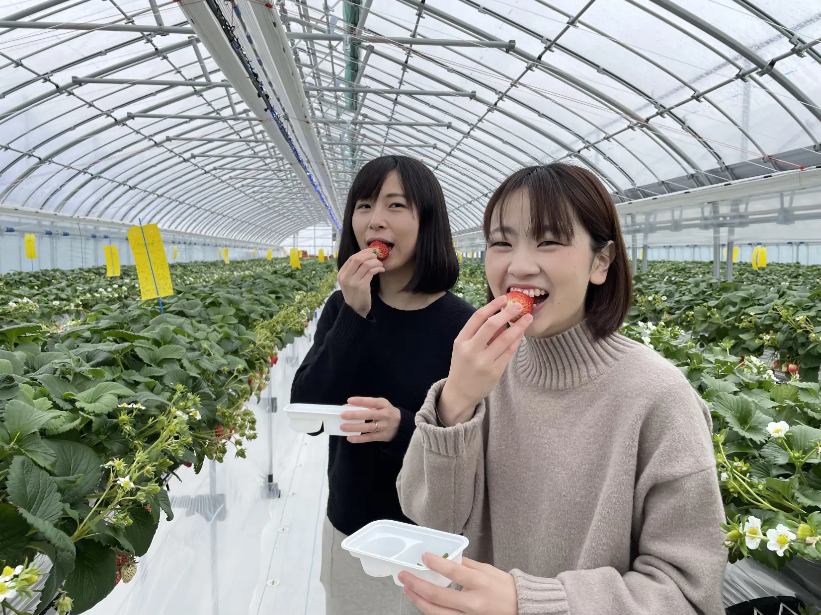株式会社宇川農産-7