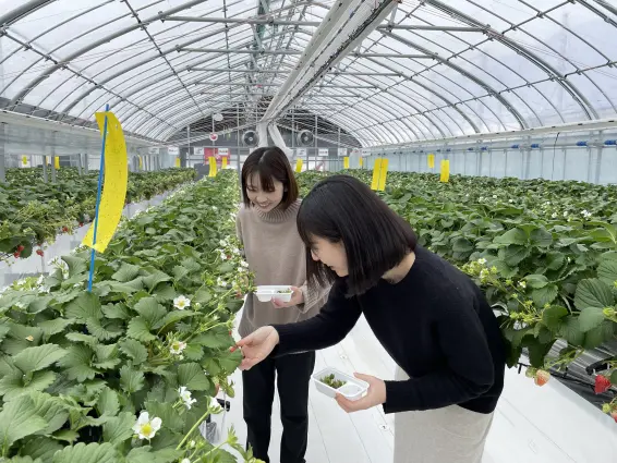 株式会社宇川農産-4