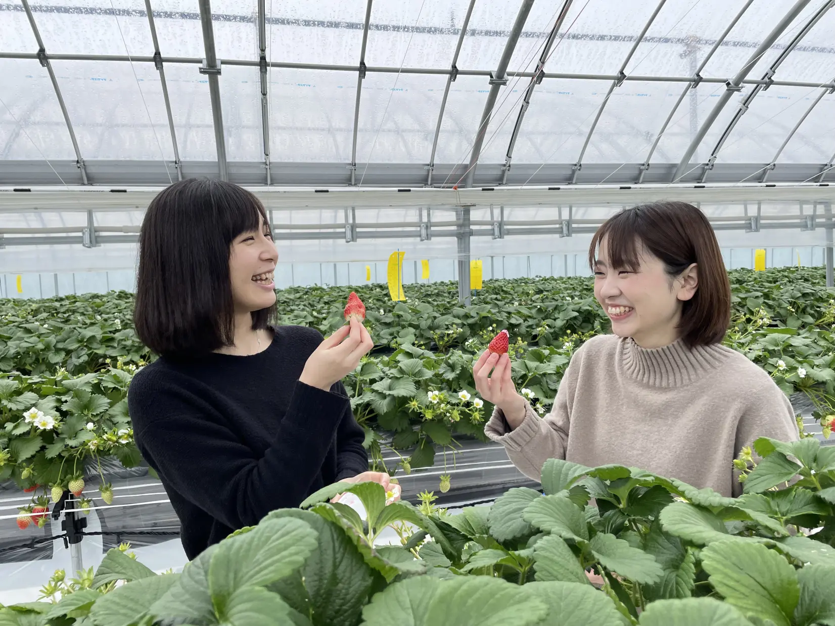 株式会社宇川農産-3