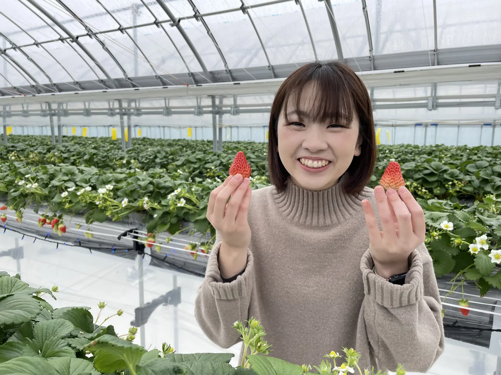 株式会社宇川農産-6