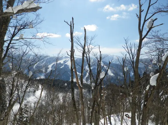 来拝山-2