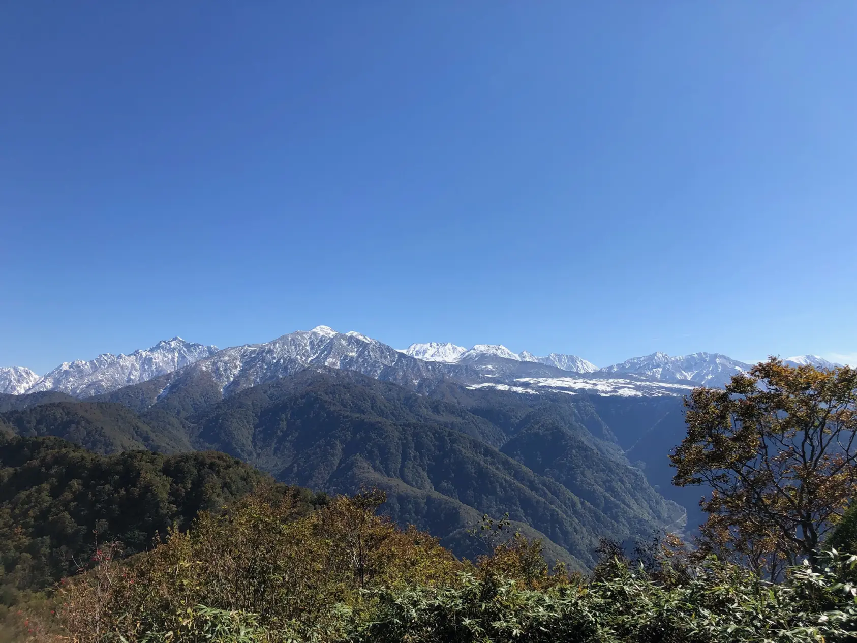 山頂からの景色