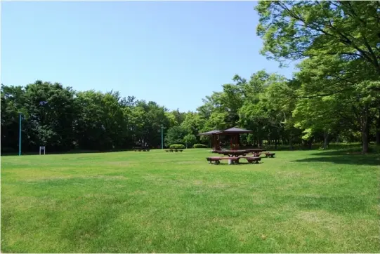 県民公園　新港の森-3