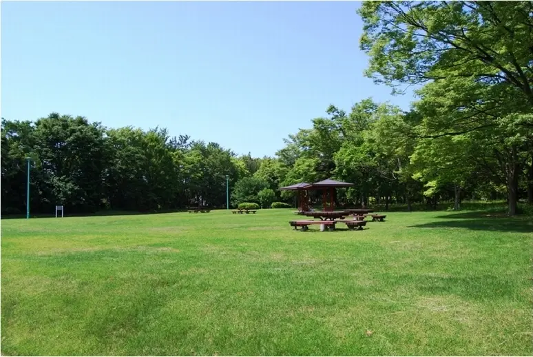 県民公園　新港の森-3
