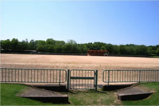 県民公園　新港の森-2