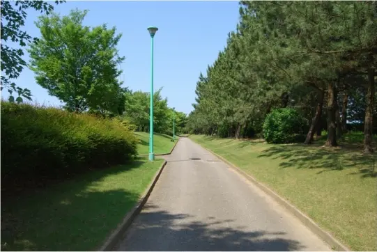県民公園　新港の森-1