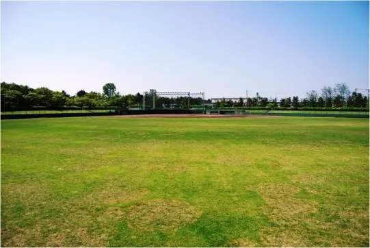 県民公園　新港の森-4