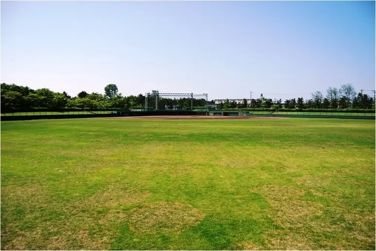 県民公園　新港の森-4