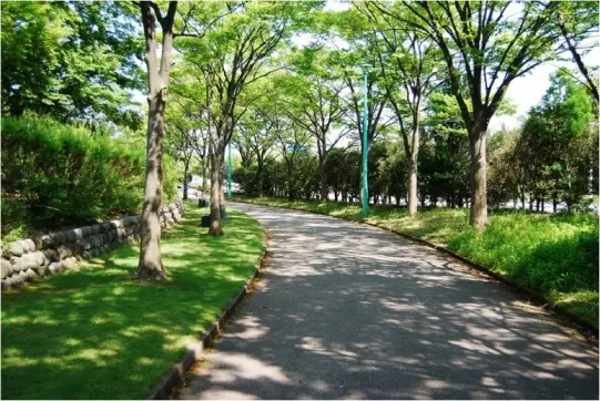 県民公園　新港の森-0