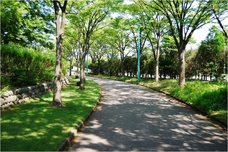 県民公園　新港の森-0