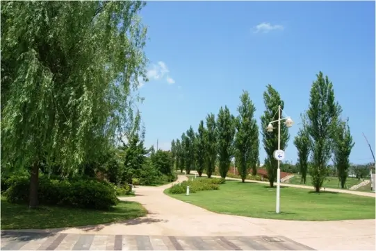 富岩運河　環水公園-9