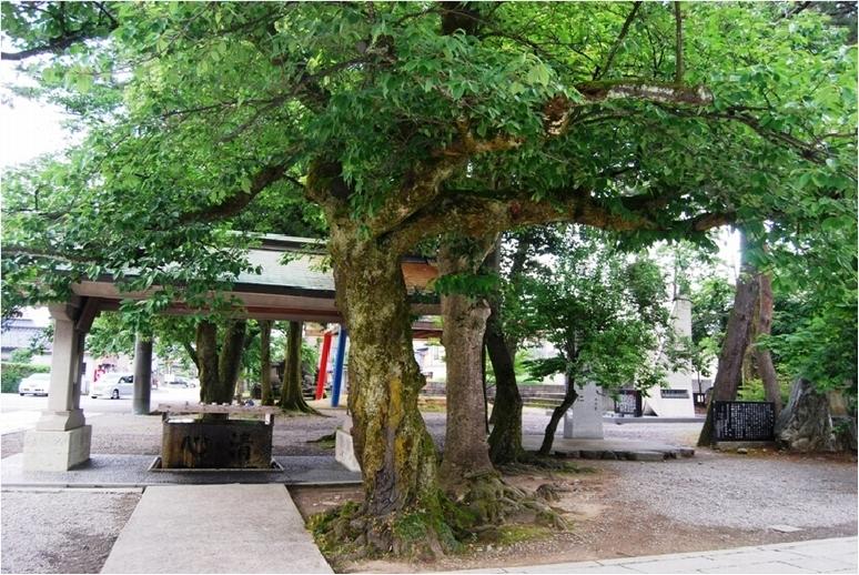 富山県護国神社-6