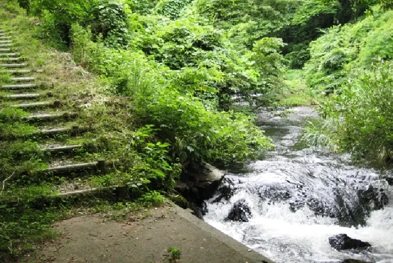 宮島峡-4