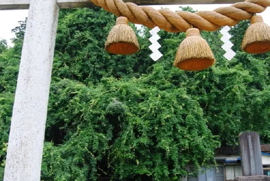 磯部神社-1