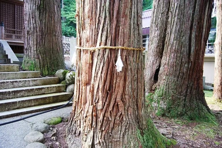 白山宮-1