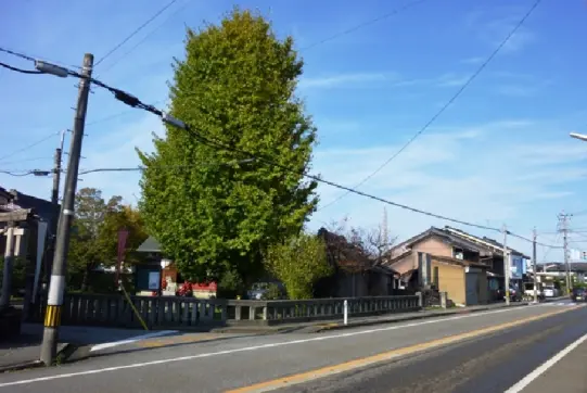 高岡市守護町諏訪神社-6