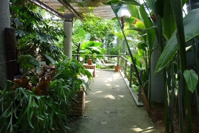 富山県中央植物園-2