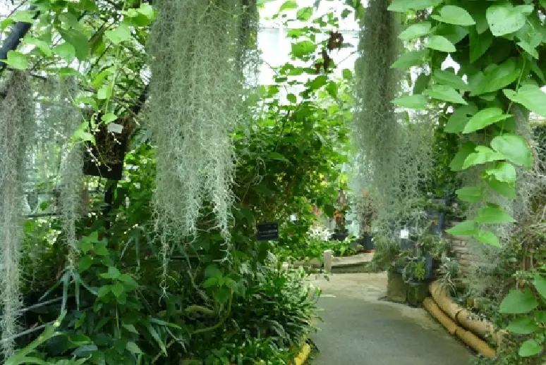 富山県中央植物園-3