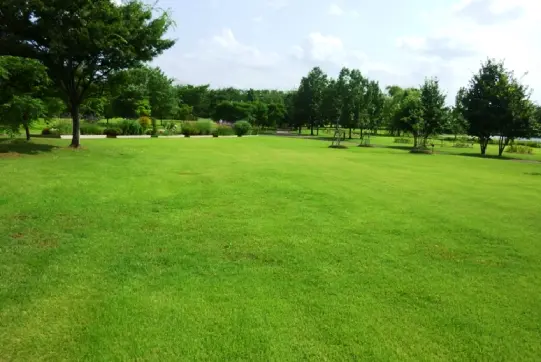 富山県中央植物園-9