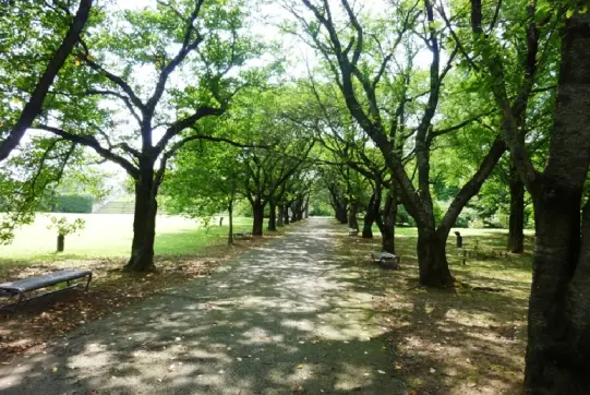 富山県中央植物園-8